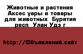 Животные и растения Аксесcуары и товары для животных. Бурятия респ.,Улан-Удэ г.